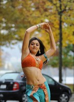 Hansika Latest  Gallery
